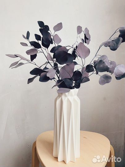 Композиции из эвкалипта