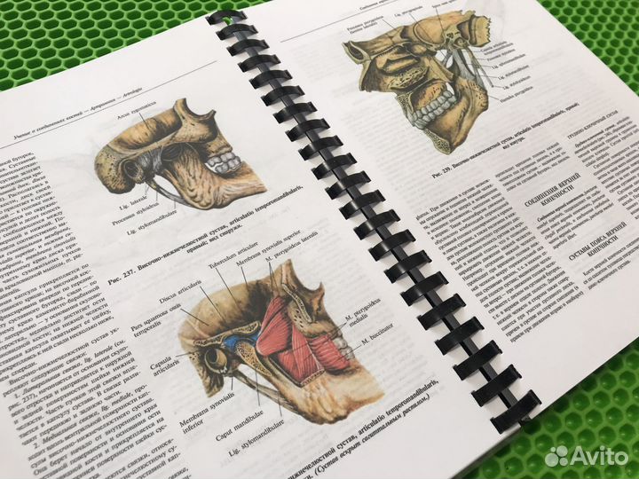 Атлас анатомии человека Синельников. Том 1