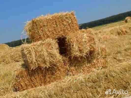 Солома ячменная в тюках