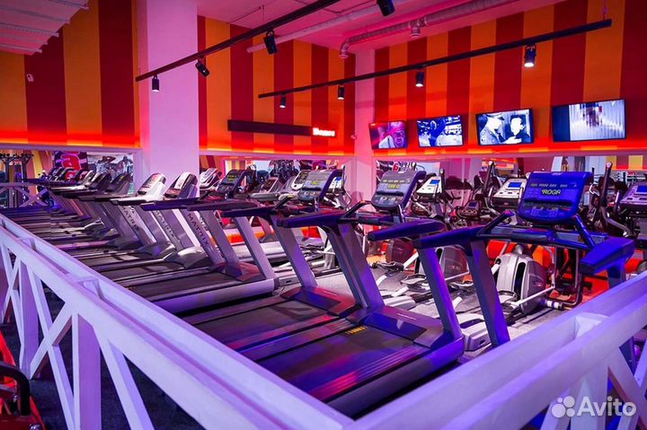 Абонемент в фитнес клуб Зебра (Широкая, 30)