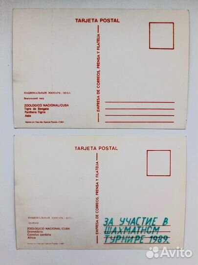 Открытки СССР и Кубы Животные