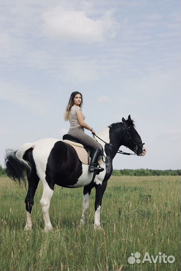 Аренда лошади на фотосессию