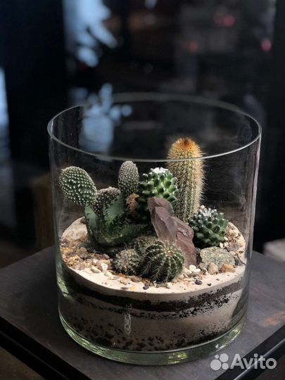 Флорариум с кактусами, суккулентами и кристаллами