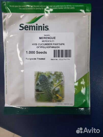 Семена огурец Меренга f1