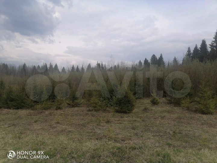 Участок 13,5 сот. (СНТ, ДНП)