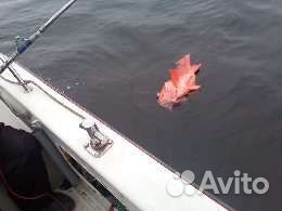 Морские прогулки,рыбалка