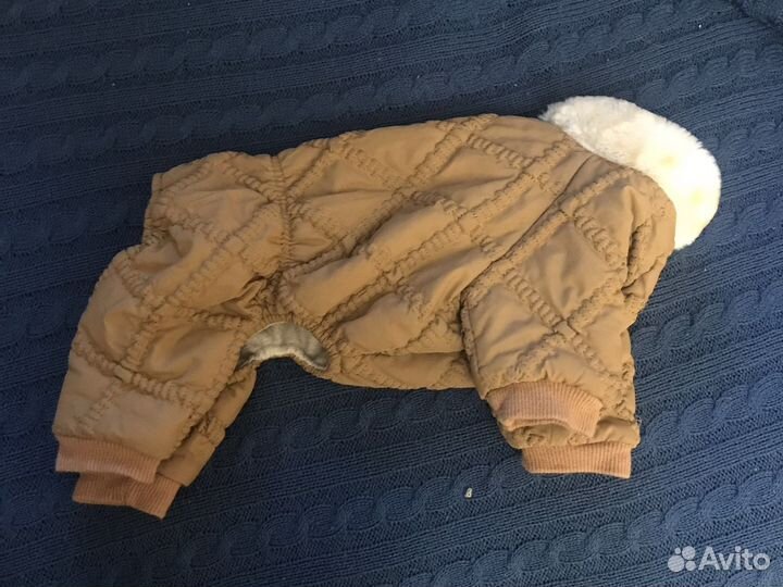 Одежда для собак S