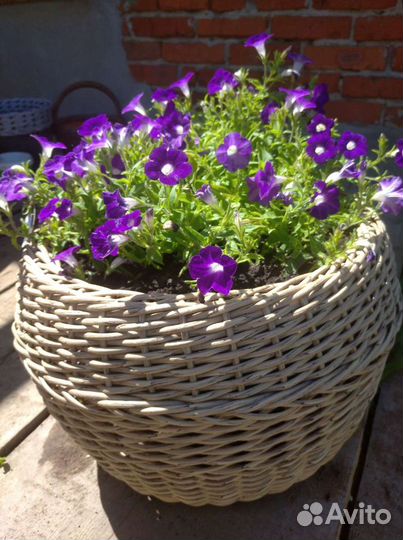 Кашпо для цветов