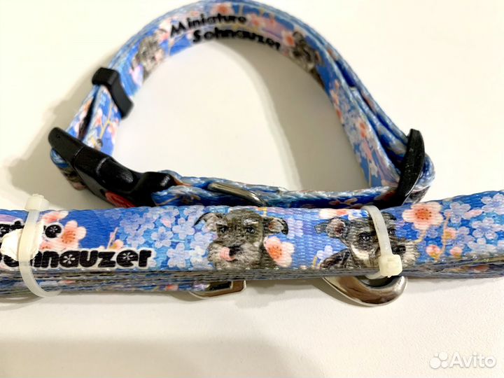 Комплект поводок + ошейник для собаки