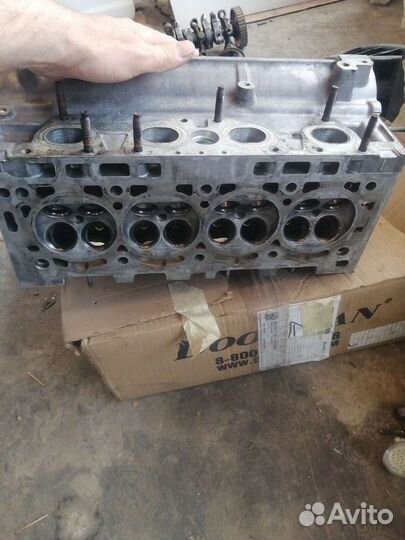 Гбц Пежо Ситроен