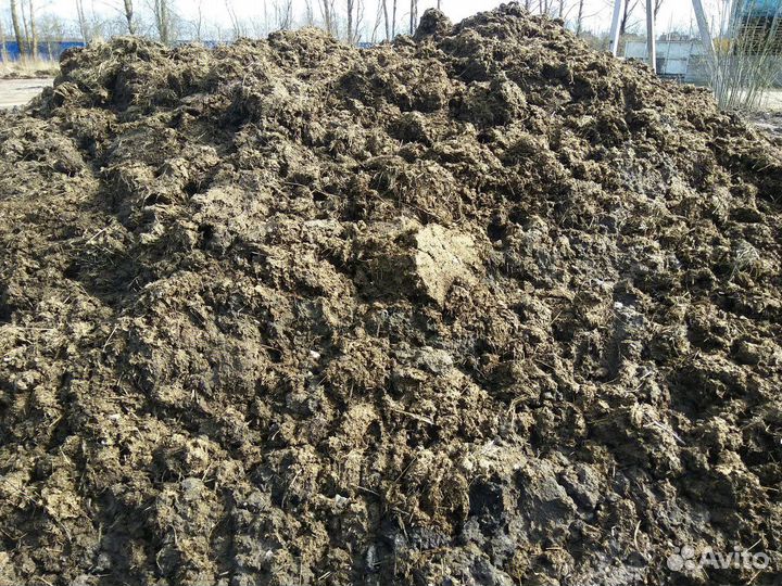 Навоз говяжий перегной