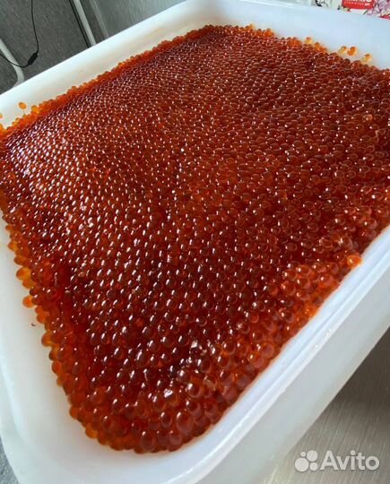 Красная икра горбуши оптом