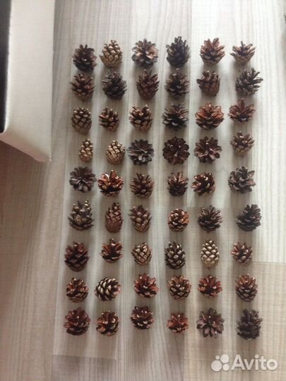 Шишки сосновые д/поделок,декора,дизайна