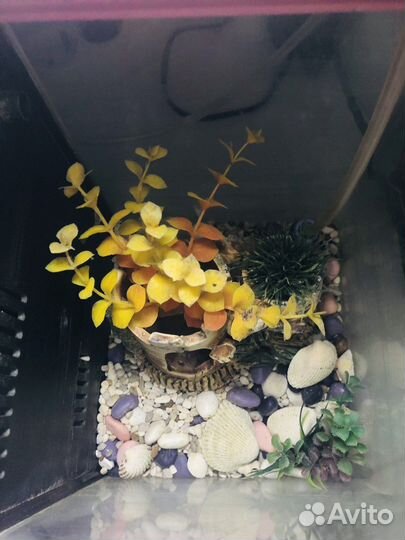 Мини аквариум 7 литров