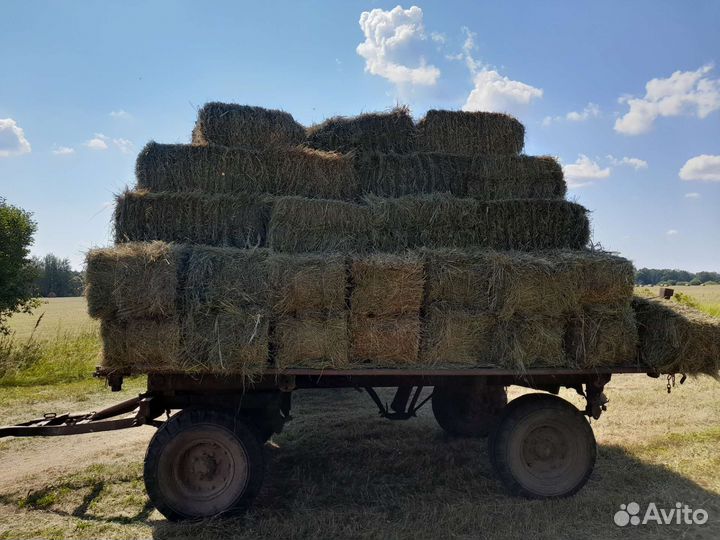 Сено для С/Х животных