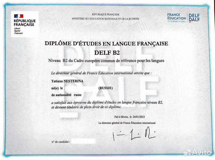 Репетитор по французскому языку. Delf A1-B2