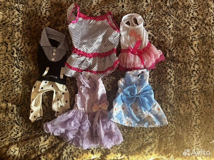 Одежда для собак мелких пород,девочек