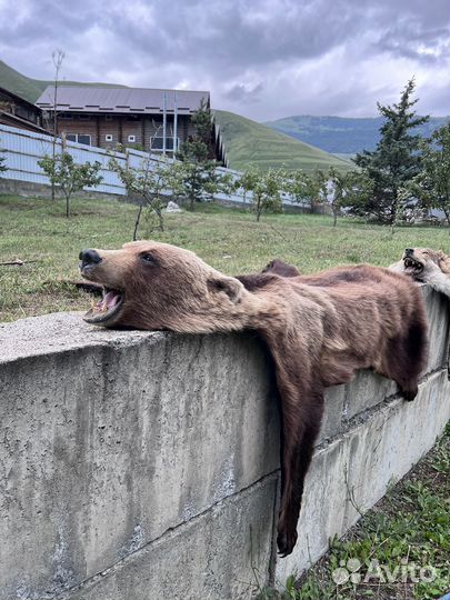 Шкура медведя имитация