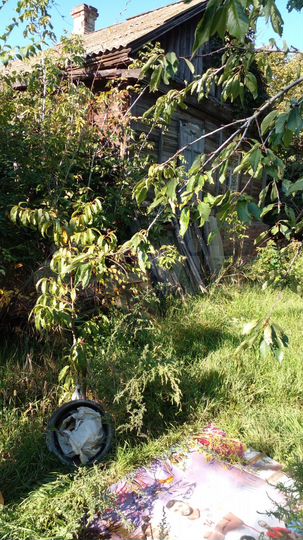 Коттедж 90 м² на участке 9 сот.