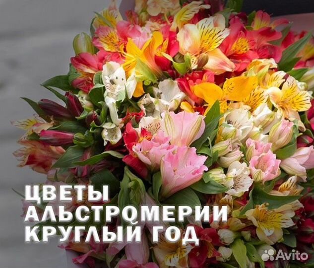 Доставка цветов /Букеты/1 сентября