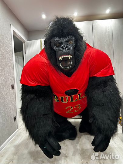 Поздравление от огромной гориллы Кинг Конга