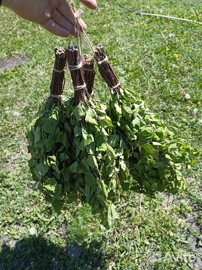 Веники для бани, травы, запарки