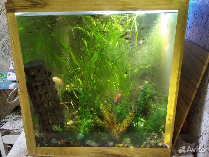 Аквариум