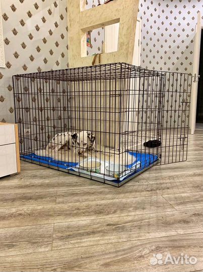 Клетка №5 для собак