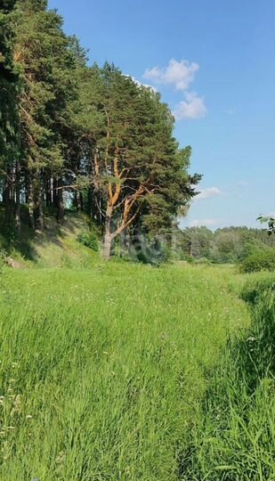 Участок 14,2 сот. (ИЖС)