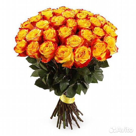 Розы Tycoon 45 шт премиум класса