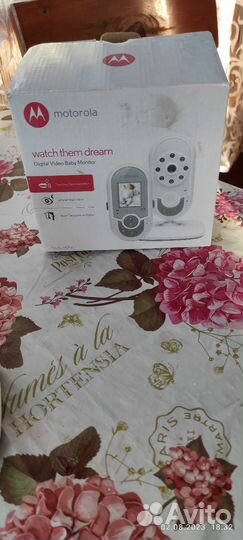Видеоняня Motorola