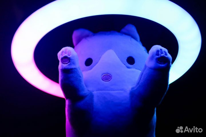 Сарделька - Мягкая игрушка подушка длинный кот