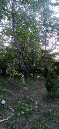 Дача 140 м² на участке 9 сот.