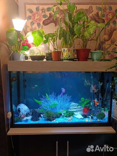 Аквариум с тумбой 200 литров и внешним фильтром