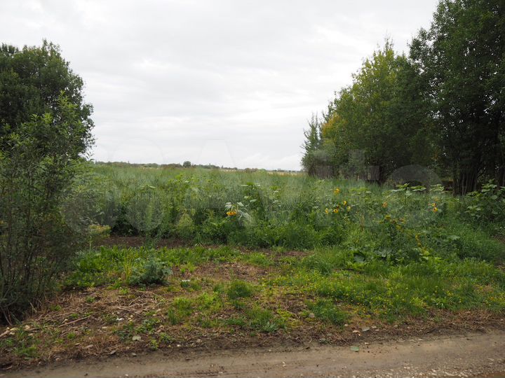 Участок 10 сот. (ИЖС)