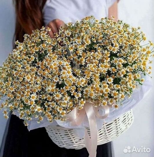 Цветы ромашки. Букеты ромашек. Цветы доставка