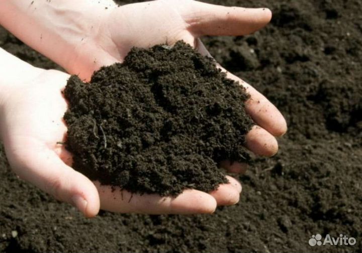 Плодородный чернозем, растительный грунт