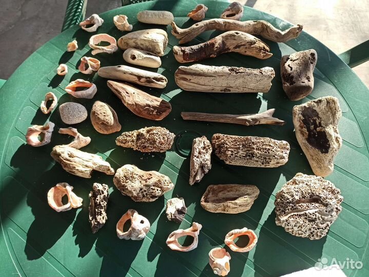 Морские коряги, ракушки, дрифтвуд для ключницы