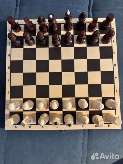 Шахматы новые