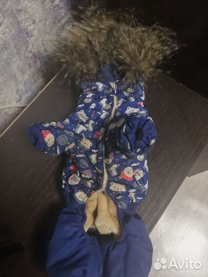 Зимний костюм для собаки