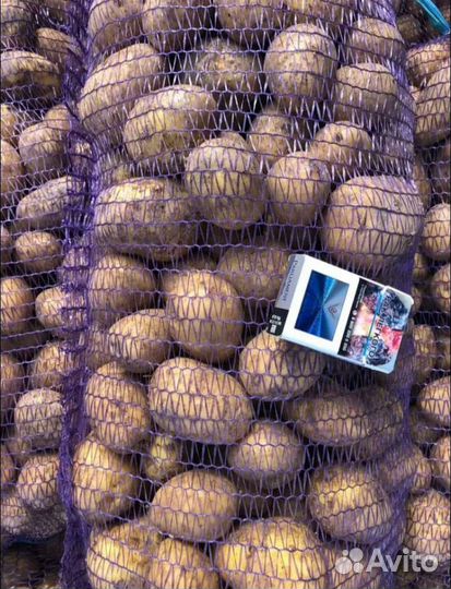 Продам картофель