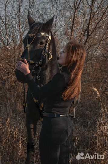 Конные прогулки