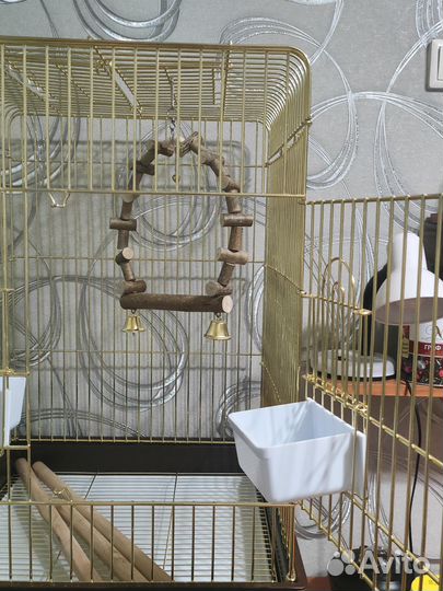 Клетка для попугая(ев)