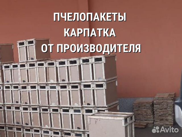 Пчелопакет Карпатка от производителя