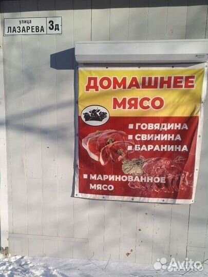 Конина,молодняк