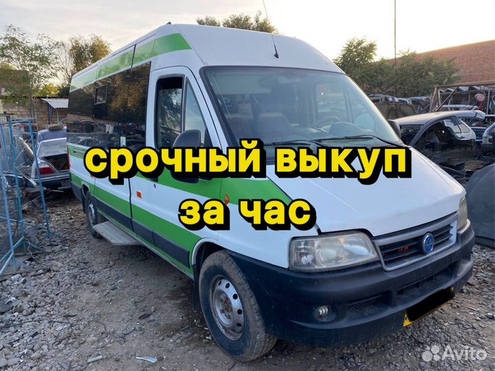 Выкуп битых авто