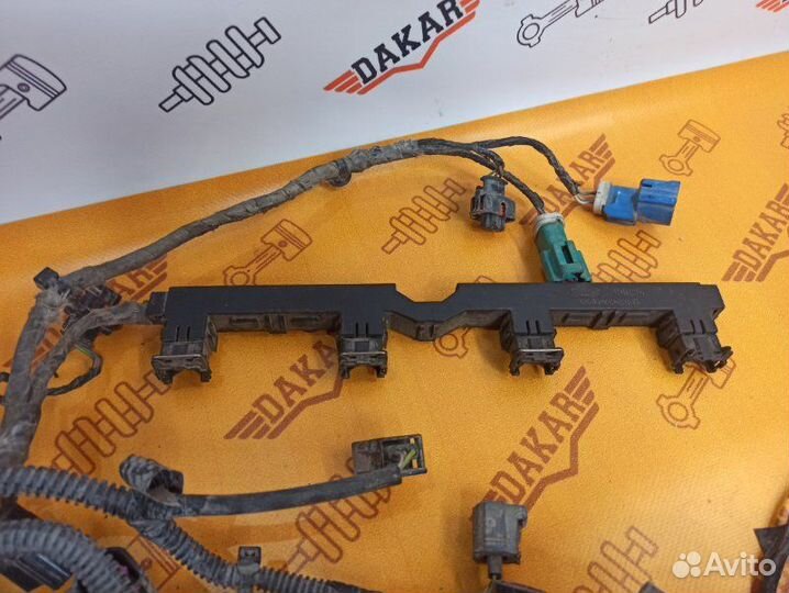 Проводка двигателя Ford Focus CB8 pnda 2012