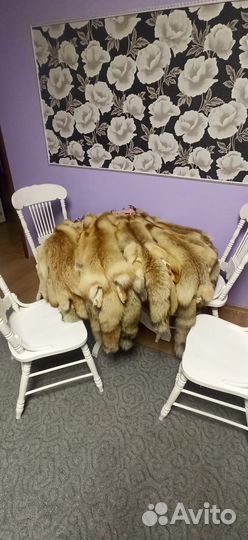 Шкурки лисы