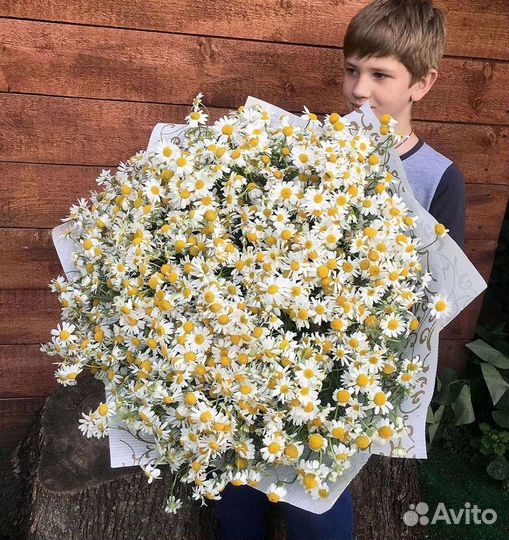 Доставка цветов. Ромашки