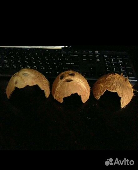 Грот, разное в аквариум. Зеленоград